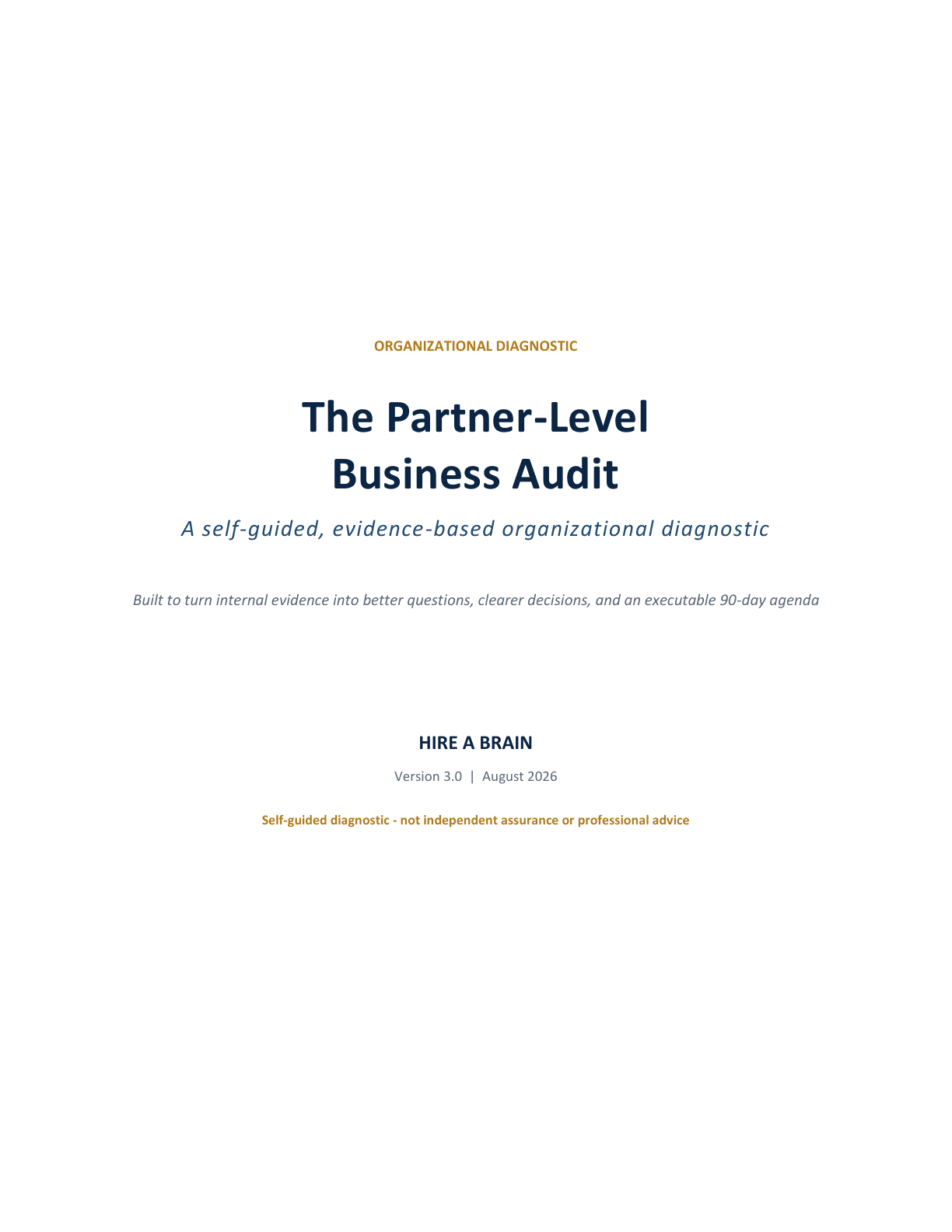 Cover of The Partner-Level Business Audit